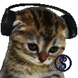 Sad cat Dancing