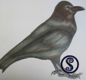 Raven